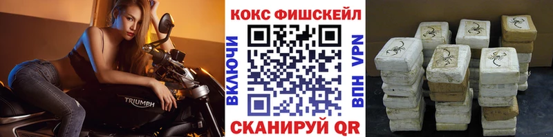 Купить где  Кондопога  Cocaine 97% 