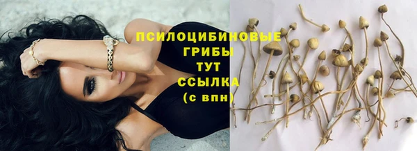 шишки Вяземский