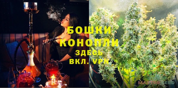 тгк Горно-Алтайск