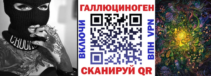 Купить закладки  Кондопога  Галлюциногенные грибы Cubensis 